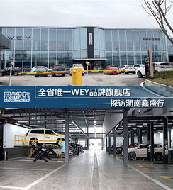 探访全省唯一wey品牌旗舰店湖南鑫盛行